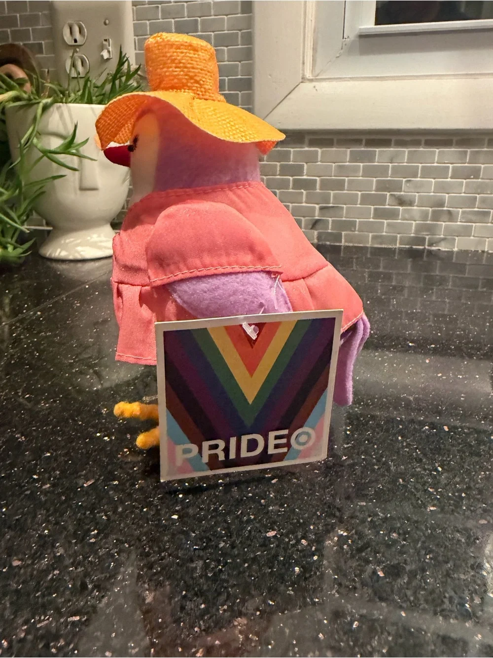 Target Featherly Friends Beach Pride Bird 2024 NWT